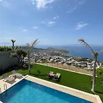 Aktürk